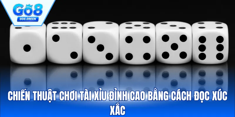 Chiến thuật chơi tài xỉu đỉnh cao bằng cách đọc xúc xắc